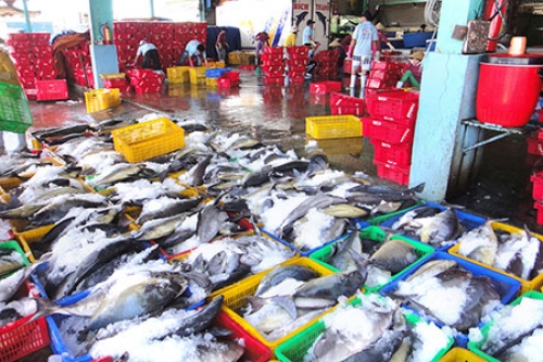 Vasep lên tiếng về “thẻ vàng” của EU