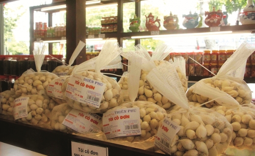 Cấp thiết xây dựng chỉ dẫn địa lý tỏi Lý Sơn