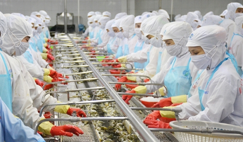 Ngành thủy sản định vị lại thị trường nội địa