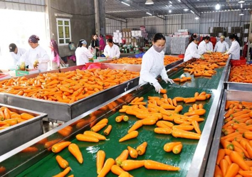 Rào cản hội nhập “mọc” từ bên trong Rào cản hội nhập “mọc” từ bên trong