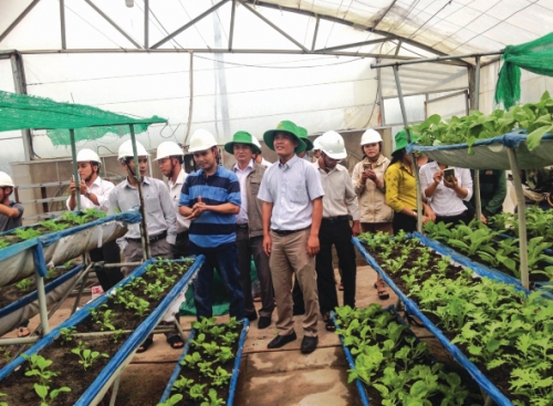 Nuôi dưỡng những khát vọng làm giàu