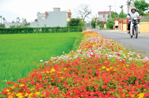 Tín dụng chính sách chung tay xây dựng nông thôn mới