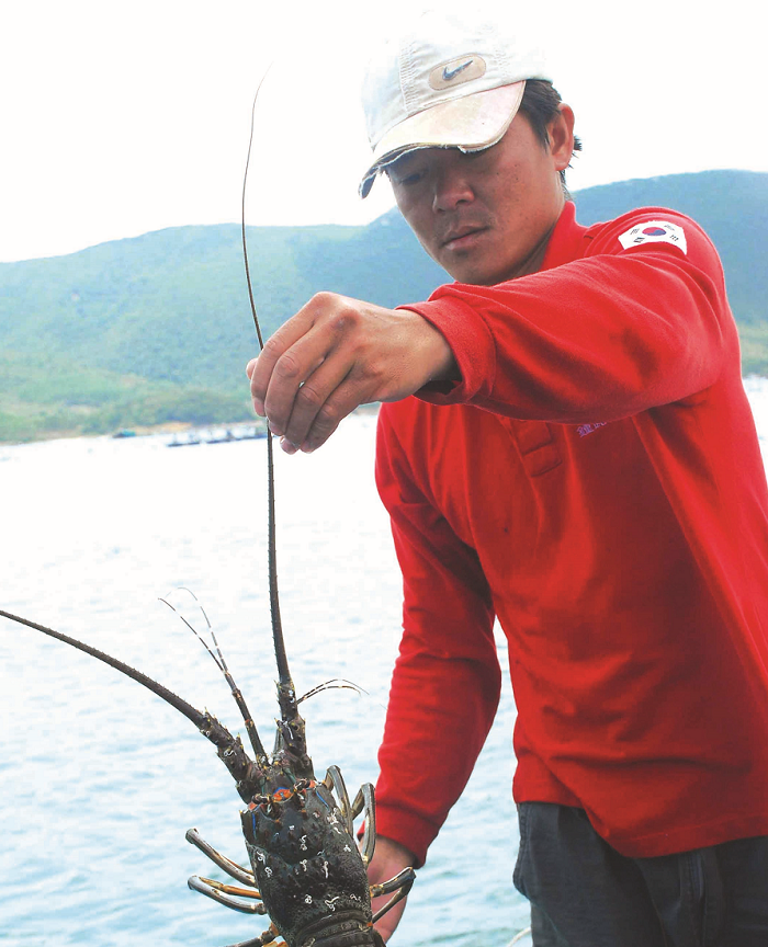 “Giải cứu” do... vỡ quy hoạch