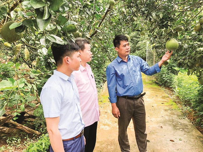 tin dung chinh sach xa hoi phu xanh them nhung ban lang tay bac bai 1