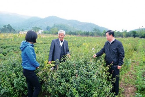 Ngành dược liệu trong xu thế hội nhập