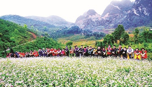 Nỗi niềm cao nguyên đá