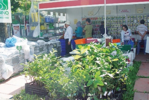 Nông sản, đặc sản Việt Nam lên đời