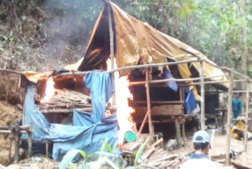 Vàng tặc ở Bồng Miêu