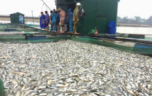 Nước mắt giữa dòng lũ dữ Nước mắt giữa dòng lũ dữ