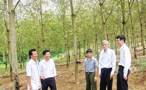 Tập trung vốn cho thế mạnh địa phương