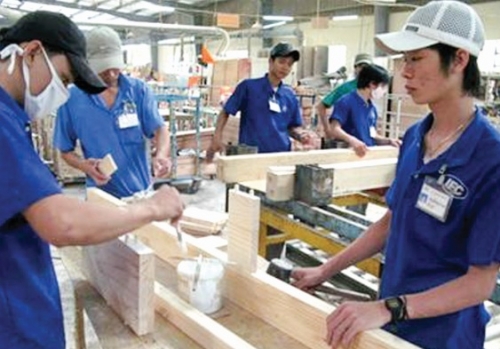 Chính sách giữ vai trò kiến tạo khởi nghiệp