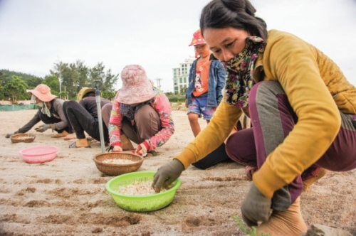 Agribank Quảng Ngãi - Điểm tựa của người dân Agribank Quảng Ngãi - Điểm tựa của người dân