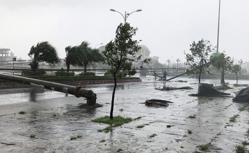 LHQ hỗ trợ hơn 4 triệu USD giúp ứng phó thảm họa thiên tai khẩn cấp ở Việt Nam