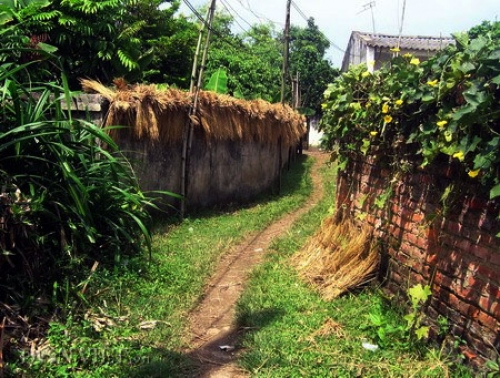 Bao giờ trở lại ngõ quê Bao giờ trở lại ngõ quê