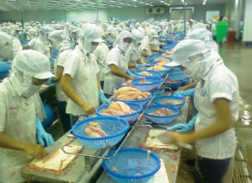 Xuất khẩu cá tra vượt mục tiêu