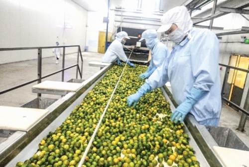 Cơ hội mở rộng tín dụng tam nông