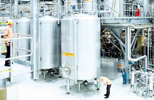 Doanh nghiệp cà phê: Đẩy mạnh đầu tư chế biến