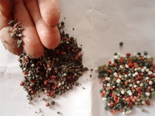 Vẫn nan giải nạn phân bón kém chất lượng