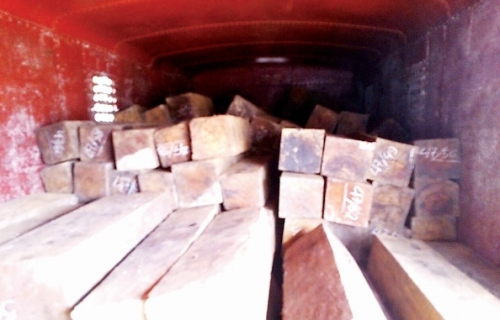 Gia tăng buôn lậu bằng đường sắt