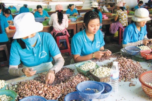 Ngành điều về đích sớm