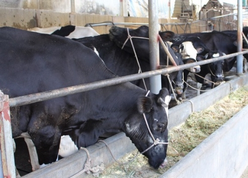 Điểm tựa phát triển tam nông