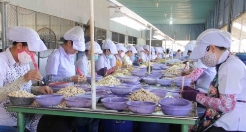 Nhiều giải pháp hỗ trợ doanh nghiệp