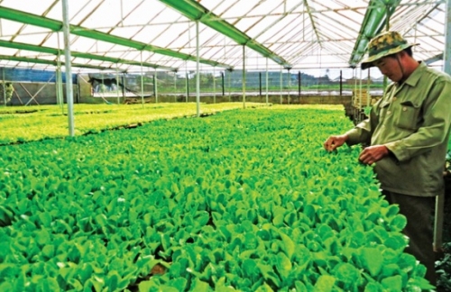 Thị trường Hàn Quốc mở nhưng không dễ vào Thị trường Hàn Quốc mở nhưng không dễ vào