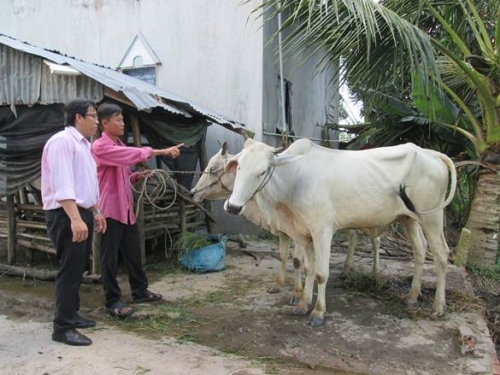 Tín dụng ưu đãi ở vùng biên