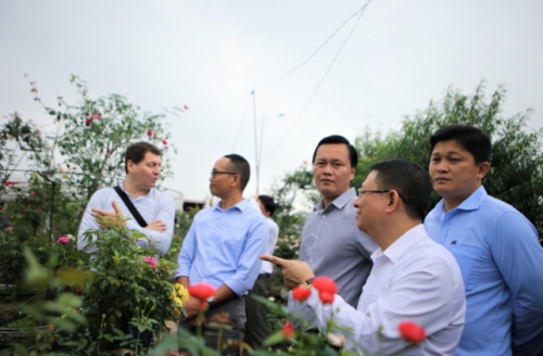 Từ khóa của du lịch Mê Linh: “Đền thờ Hai Bà Trưng” và “hoa hồng”