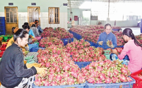 Sản xuất sạch để mở rộng thị trường