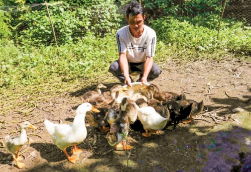 Tín dụng ưu đãi: Đòn bẩy thoát nghèo cho đồng bào thiểu số