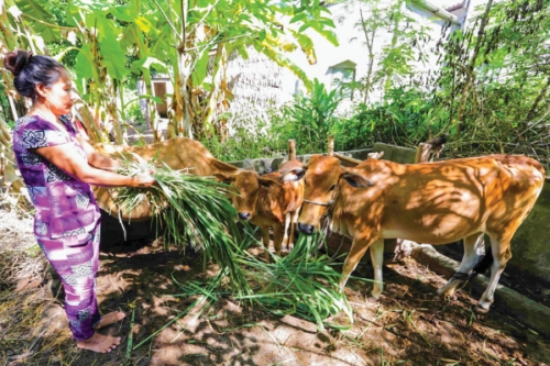 Tín dụng ưu đãi: Đòn bẩy thoát nghèo cho đồng bào thiểu số