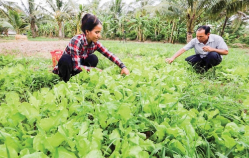 Tín dụng ưu đãi: Đòn bẩy thoát nghèo cho đồng bào thiểu số