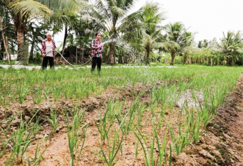 Tín dụng ưu đãi: Đòn bẩy thoát nghèo cho đồng bào thiểu số