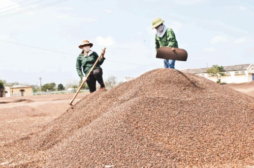 Xu hướng chế biến nông sản chuyên sâu Xu hướng chế biến nông sản chuyên sâu