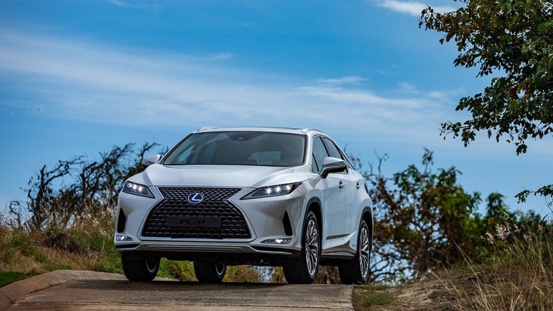 Lexus RX 2020 được trang bị nhiều tính năng an toàn mới can canh lexus rx 2020 voi loat tinh nang an toan moi