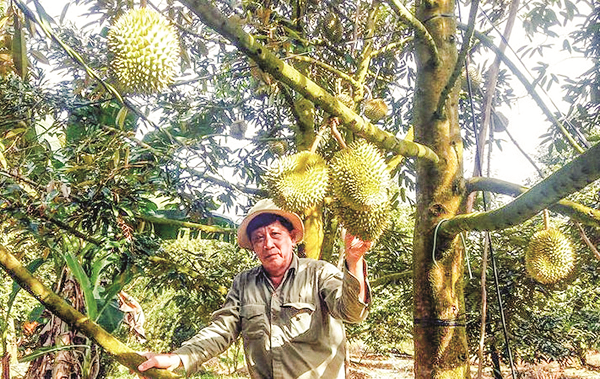 Agribank: Đồng hành với các mô hình phát triển kinh tế Agribank: Đồng hành với các mô hình phát triển kinh tế