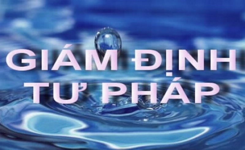 Bổ nhiệm giám định viên tư pháp trong lĩnh vực tiền tệ và hoạt động ngân hàng