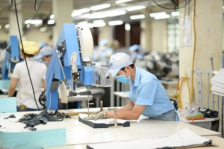 Việt Nam đẩy mạnh sản xuất theo chuỗi giá trị