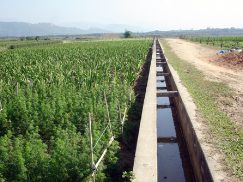 Đầu tư nông nghiệp: Ngoại e dè, nội ngán ngẩm Đầu tư nông nghiệp: Ngoại e dè, nội ngán ngẩm