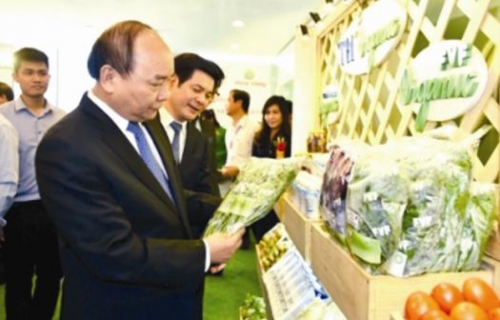 Tăng tốc cùng kinh tế Thái Bình