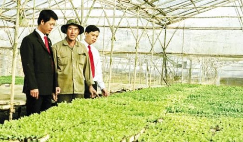 Gói 100 ngàn tỷ đồng cho nông nghiệp CNC bắt đầu kích hoạt