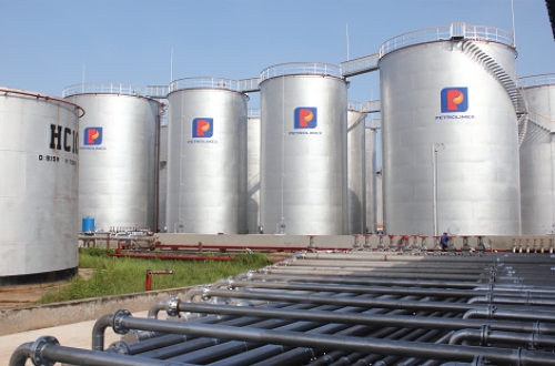 Thế mạnh của ngành được bảo trợ