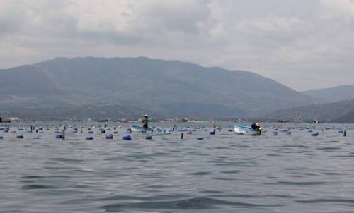 Điểm tựa cho nghề biển