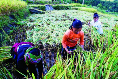 Ngân hàng ở nơi “phên dậu” của Tổ quốc