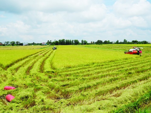 Mở rộng nguồn vốn cho Tây Nam bộ Mở rộng nguồn vốn cho Tây Nam bộ