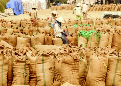 Không thể hội nhập từ sản xuất manh mún