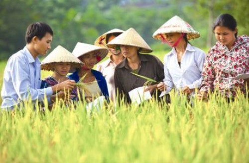 Cùng tam nông vững thế chân kiềng Cùng tam nông vững thế chân kiềng