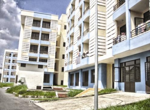 “Trái đắng”chung cư mini