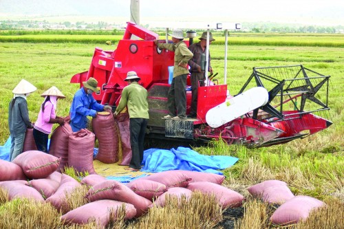 Thắt chặt thêm mối liên kết 4 nhà Thắt chặt thêm mối liên kết 4 nhà